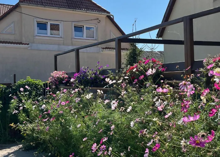 Appartement Pod Lwem